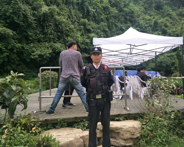 安保大型服务