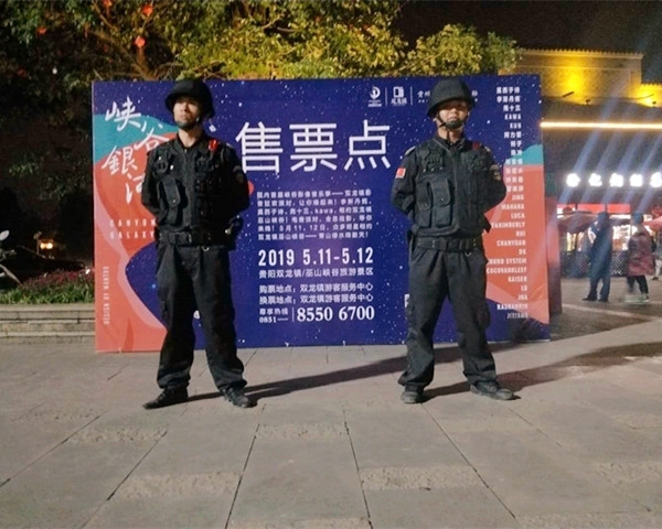 安保大型服务
