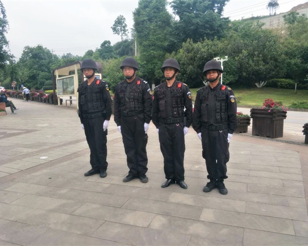 安保大型服务